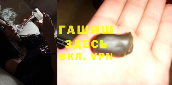 гашик Алексин