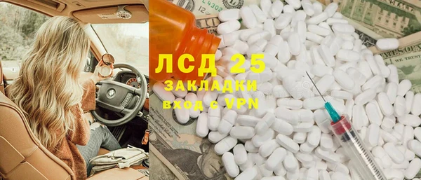 гашик Алексин