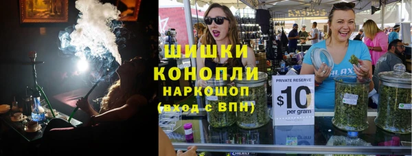 гашик Алексин