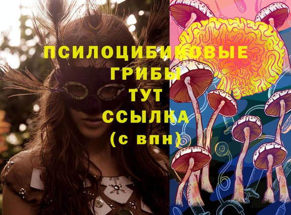 кокаин премиум Алексеевка