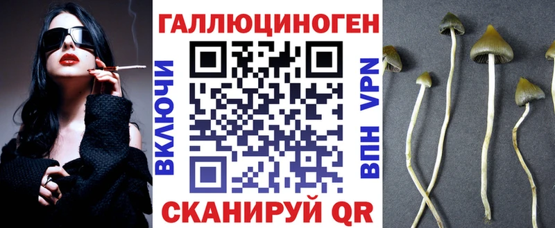 Галлюциногенные грибы Cubensis  цена   Каневская 